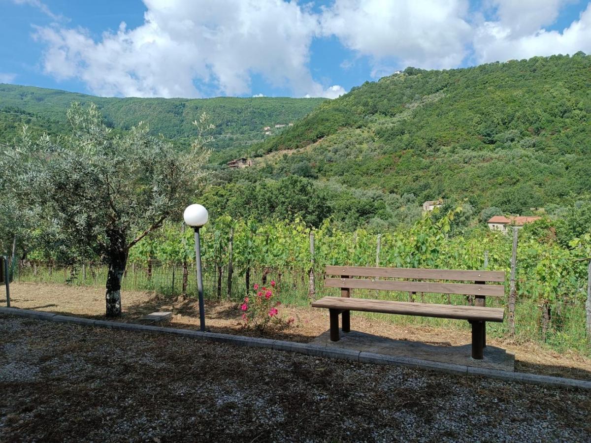 Affittacamere Aria Sessa Cilento Exterior foto